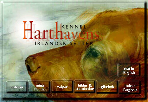 Vlkommen till Kennel Harthavens hemsida!